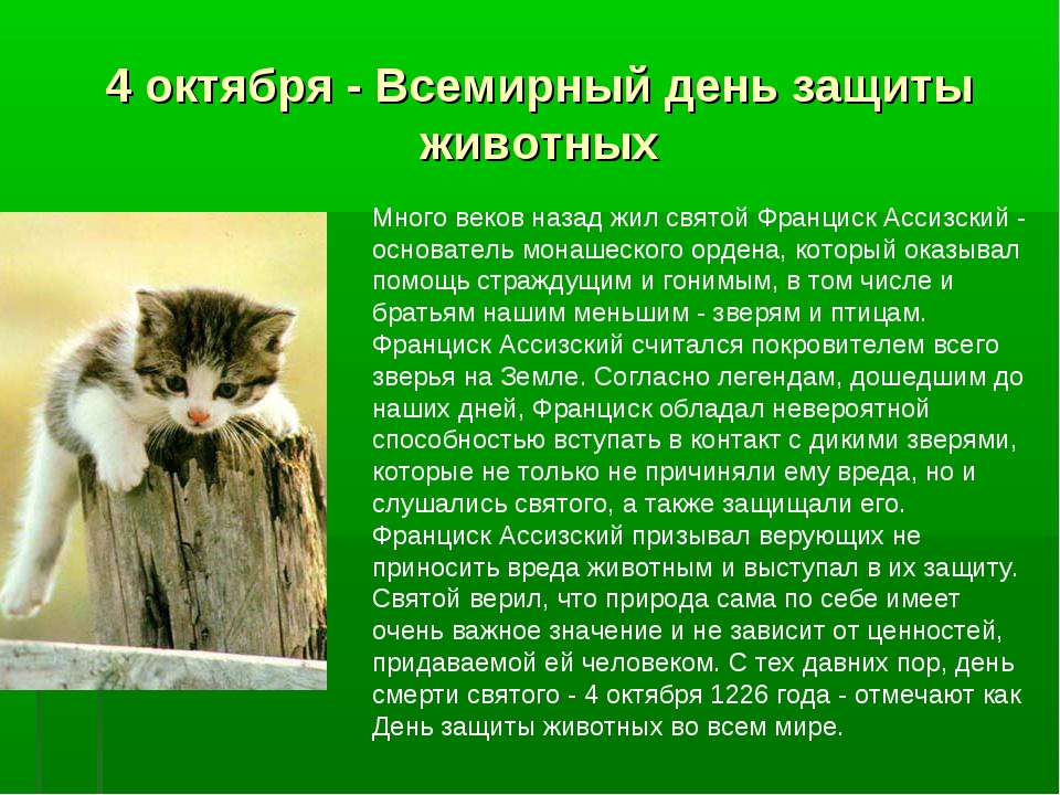 Открытка Открытки с днем защиты животных - День защиты животных  4 октября: история и значение | Красивая открытка #1