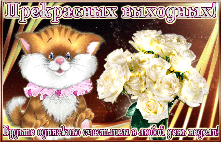 Открытка Открытки хороших выходных - Открытка с котенком и розами | Красивая открытка #124