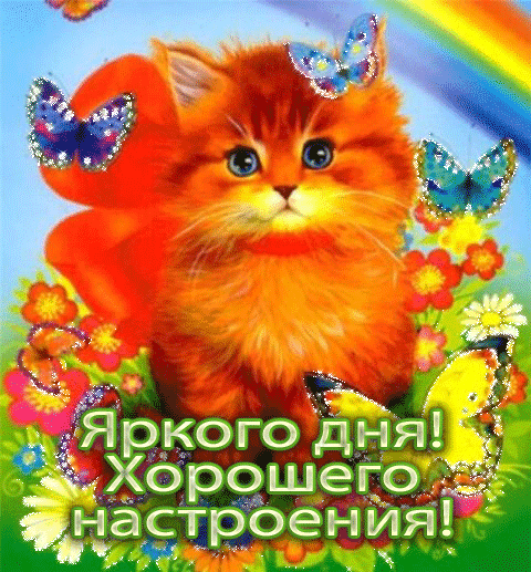 Открытка Открытки хорошего дня - Открытка с котенком и цветами | Красивая открытка #15