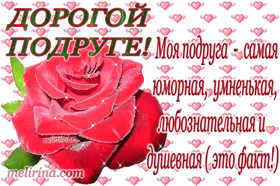 Открытка Открытки о дружбе - Открытка с красной розой  Красивая электронная открытка | Красивая открытка #111