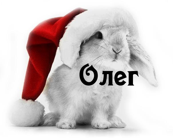 Открытка Открытки с именем Олег  - Открытка с зайцем в колпаке - Новогоднее поздравление | Красивая открытка #20