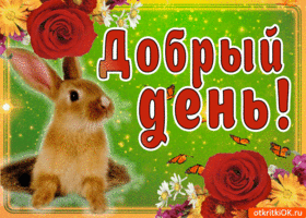Открытка добрый день - Открытка с зайчиком и цветами | Красивая открытка #24