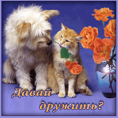 Открытка Открытки давай дружить - Открытка с котятами и розами | Красивая открытка #8
