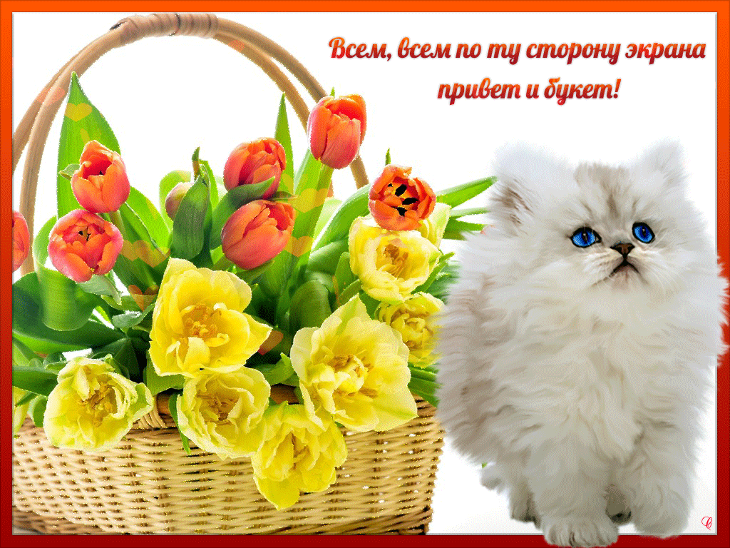 Открытка Открытки с приветствиями  - Открытка с тюльпанами и котенком | Красивая открытка #9