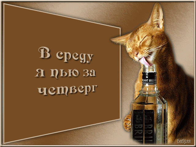 Открытка открытки с пожеланиями хорошей среды - Рыжий кот держит бутылку шампанского. Праздничная открытка. | Красивая открытка #14