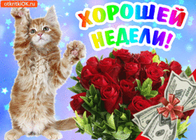 Открытка Открытки удачной недели - Котенок с цветами и деньгами — открытка с юмором | Красивая открытка #234