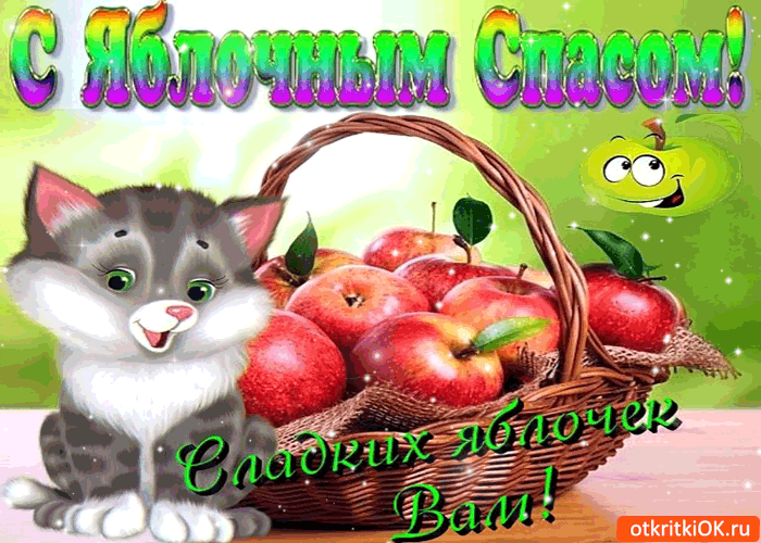Открытка Яблочный спас - Открытка с котенком и яблоками | Красивая открытка #126
