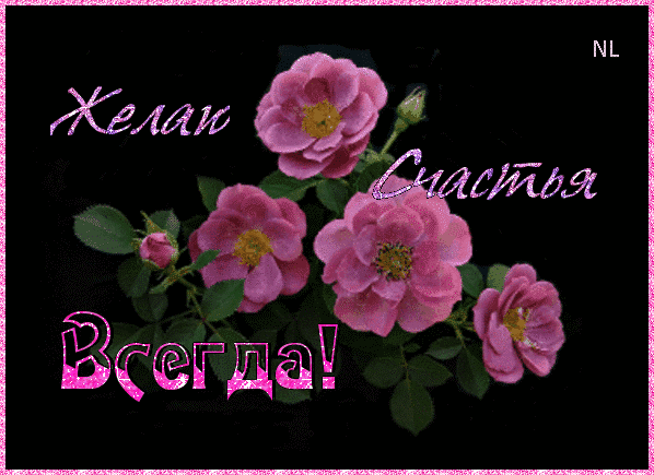 Открытка Желаю счастья - Розовые розы на открытке  символ нежности | Красивая открытка #123