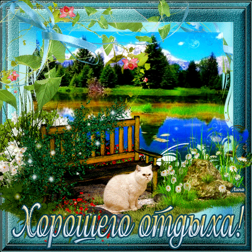 Открытка Открытки хорошего отдыха - Белый кот на берегу озера: открытка с природой | Красивая открытка #127