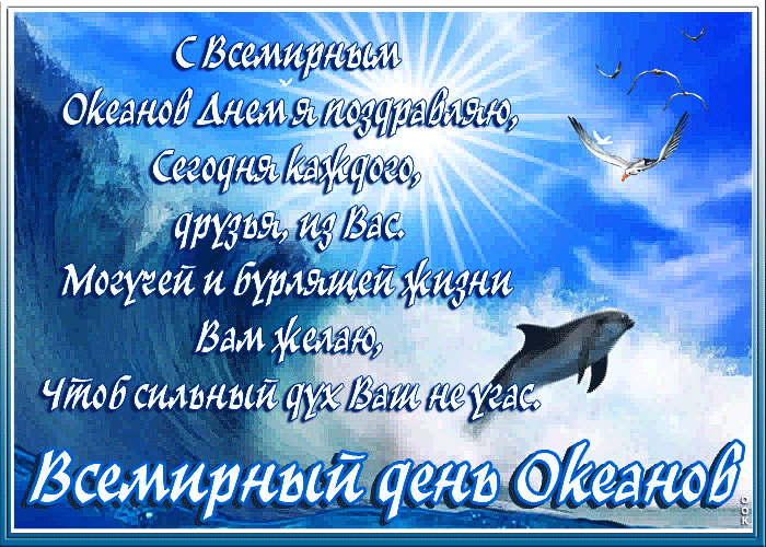 Открытка Всемирный день океанов - Всемирный день океана: поздравления с дельфином | Красивая открытка #15
