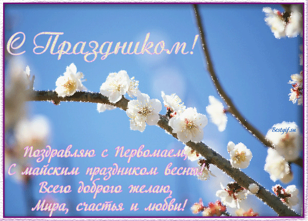 Открытка открытки на 1 мая - Весенние цветы: нежная открытка с праздником | Красивая открытка #1