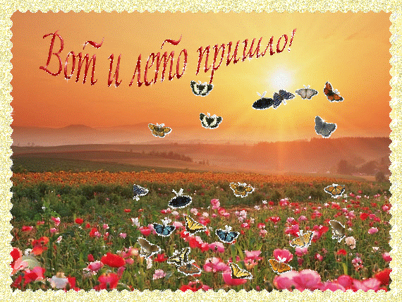 Открытка Первый день лета - Поле маков на рассвете с бабочками. Открытка | Красивая открытка #85