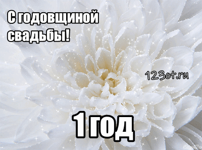 Открытка Открытки на Ситцевую свадьбу 1 год - Белый цветок с инеем  открытка с юбилеем | Красивая открытка #47