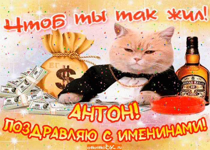 Открытка открытки с именем Антон  - Открытка с котом, деньгами и виски | Красивая открытка #154