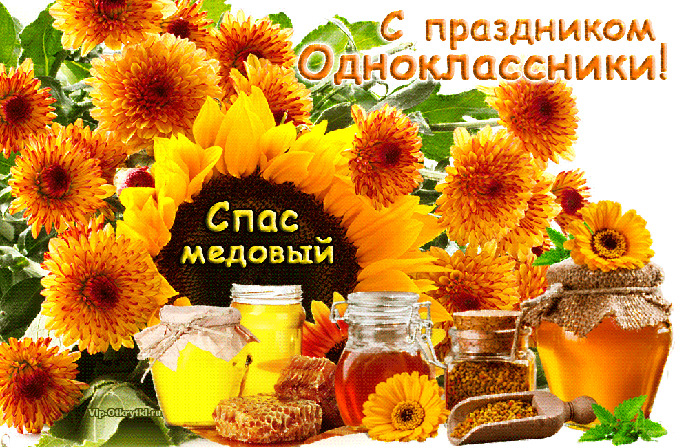 Открытка Открытки с Медовым Спасом - Открытка с подсолнухами и медом  Праздничный дизайн | Красивая открытка #65