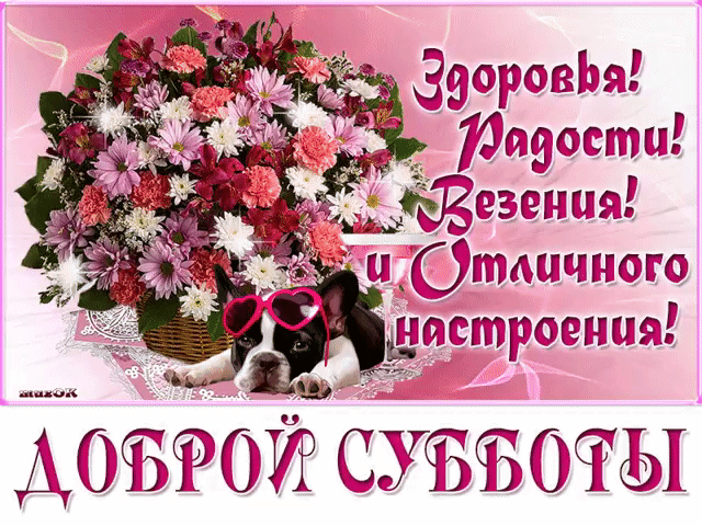 Открытка Открытки на субботу - Открытка с щенком и цветами | Красивая открытка #23