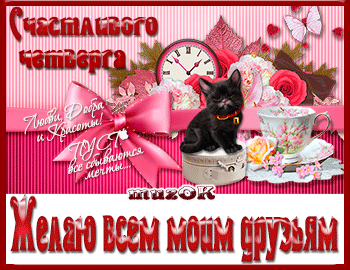 Открытка Открытки на четверг - Открытка с котенком и цветами | Красивая открытка #5