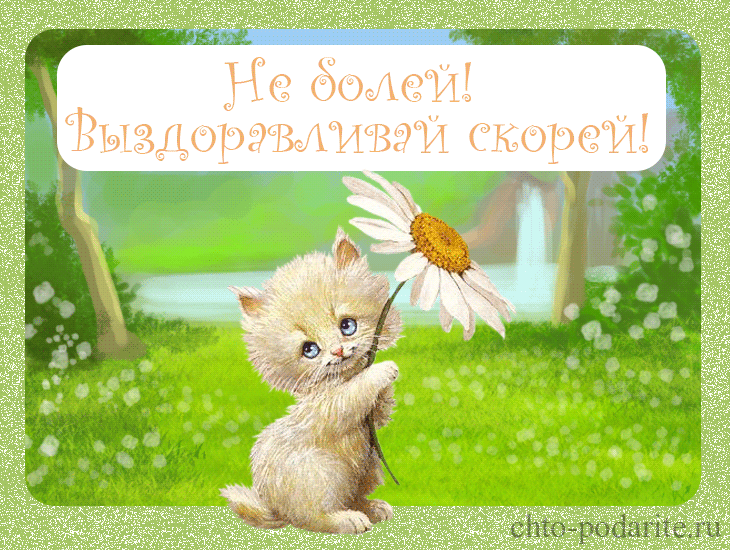 Открытка открытки с пожеланиями здоровья  - Открытка с котенком и ромашкой | Красивая открытка #8