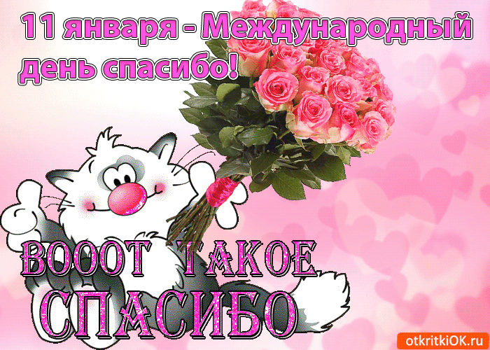 Открытка День спасибо - Открытка с розовыми цветами и котом | Красивая открытка #28