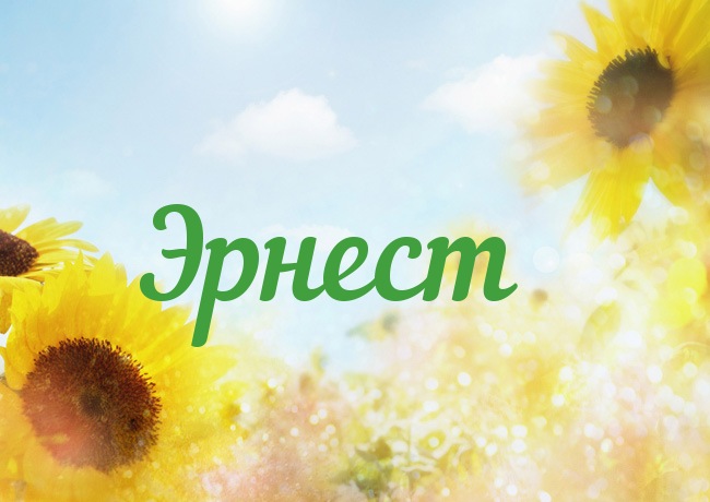 Открытка Открытки с именем Эрнест - Яркие подсолнухи на фоне неба | Красивая открытка #14