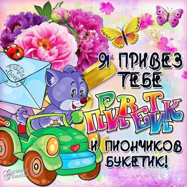 Открытка С приветствием - Открытка с котиком, цветами и надписью | Красивая открытка #30