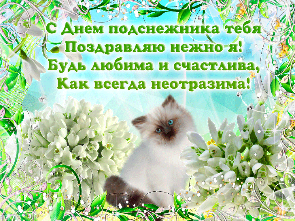 Открытка С днём подснежника - Котенок и цветы: Нежные поздравления с праздником! | Красивая открытка #80