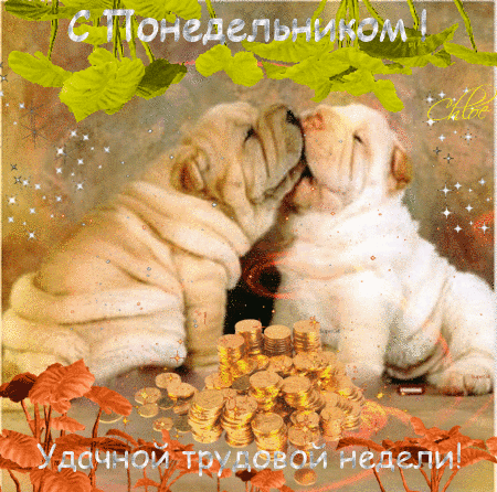 Открытка Удачи - Открытка с щенками и золотом | Красивая открытка #267