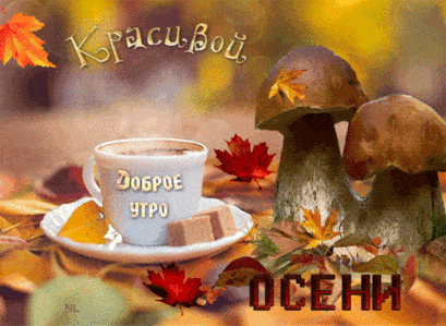 Открытка доброе осеннее утро - Осенняя открытка: грибы, чашка и апельсин | Красивая открытка #8