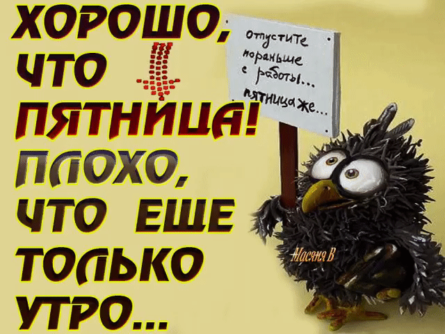 Открытка Открытки на пятницу - Забавная открытка с попугаем | Красивая открытка #99