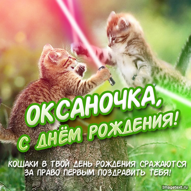 Открытка открытки с именем Оксана  - Открытка с котятами: С Днем Рождения! | Красивая открытка #8