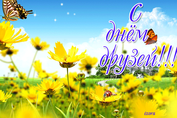 Открытка День друзей - Яркая поляна с цветами и бабочкой | Красивая открытка #152