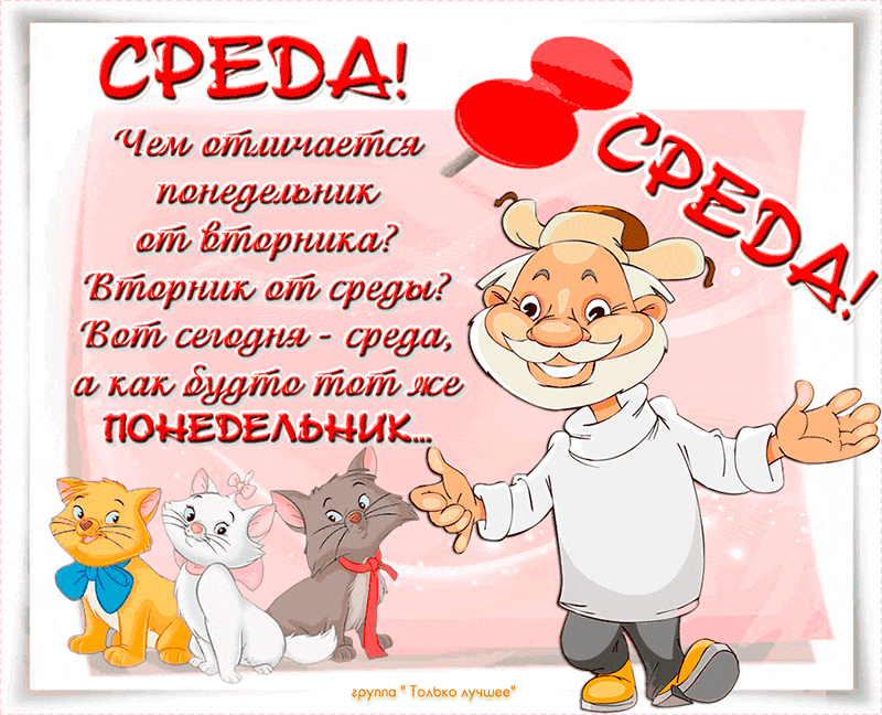Открытка Открытки на среду - Открытка с котами и поваром | Красивая открытка #185