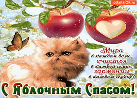 Открытка Открытки с Яблочным Спасом - Открытка с котенком, яблоками и бабочкой | Красивая открытка #17