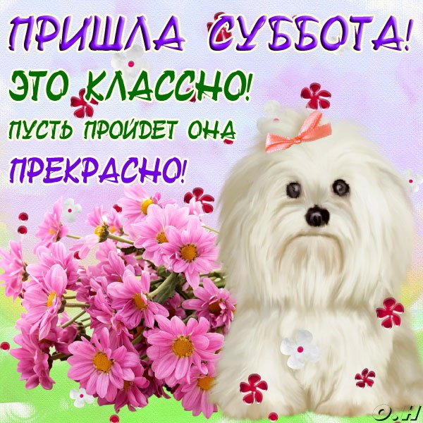 Открытка Открытки на субботу - Собачка с цветами: милая открытка с щенком | Красивая открытка #58