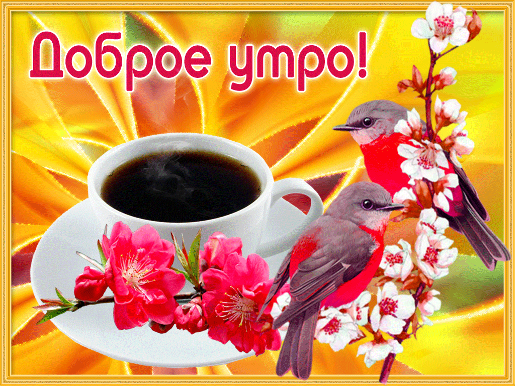 Открытка Доброе утро - Цветы сакуры, птицы и чашка кофе | Красивая открытка #249
