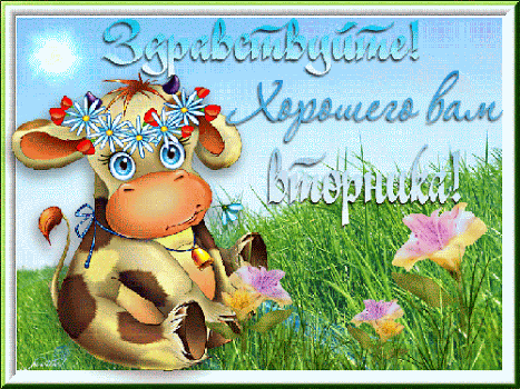 Открытка Открытки на вторник - Открытка с коровкой и цветами на лугу | Красивая открытка #215