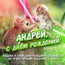 Открытка открытки с именем Андрей - С Днём Рождения! Котики-джедаи с поздравлением! | Красивая открытка #29