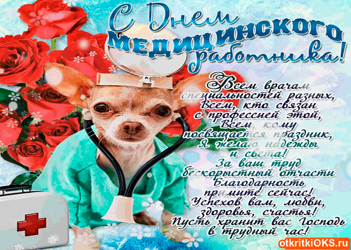 Открытка День медицинского работника - Открытка с щенком и розами для медиков  otkritkiOKS.ru | Красивая открытка #187