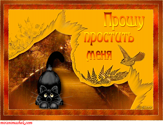 Открытка открытки с извинениями  - Открытка с чёрным котиком и птичкой | Красивая открытка #204