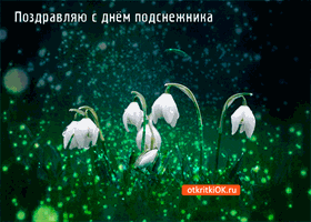 Открытка С днём подснежника - Открытка с подснежниками: нежные весенние цветы | Красивая открытка #43