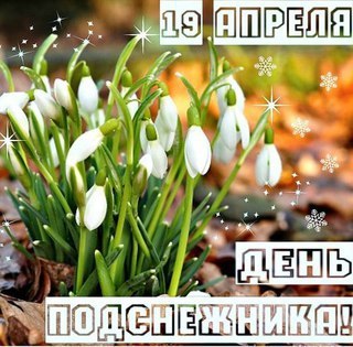 Открытка Открытки с днем подснежника - Открытка с подснежниками  поздравления с весной | Красивая открытка #9