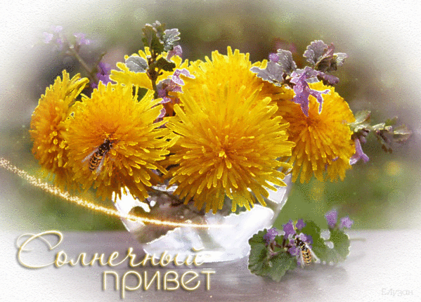 Открытка С одуванчиками - Открытка с одуванчиками и фиалками. | Красивая открытка #59