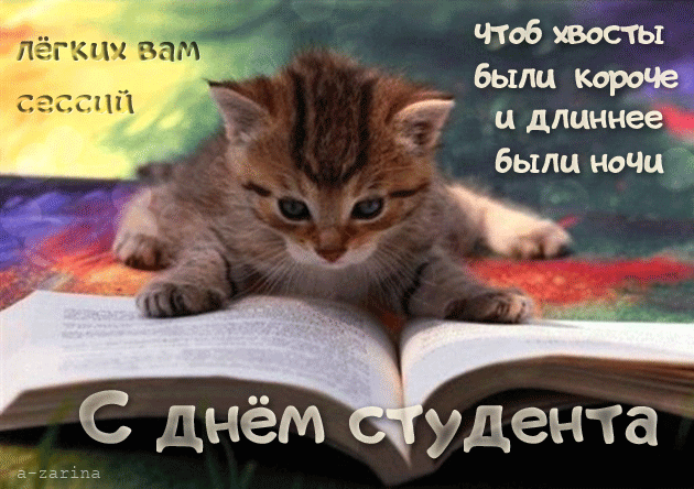 Открытка День студента - С Днем Студента: Милый котенок читает книгу | Красивая открытка #4
