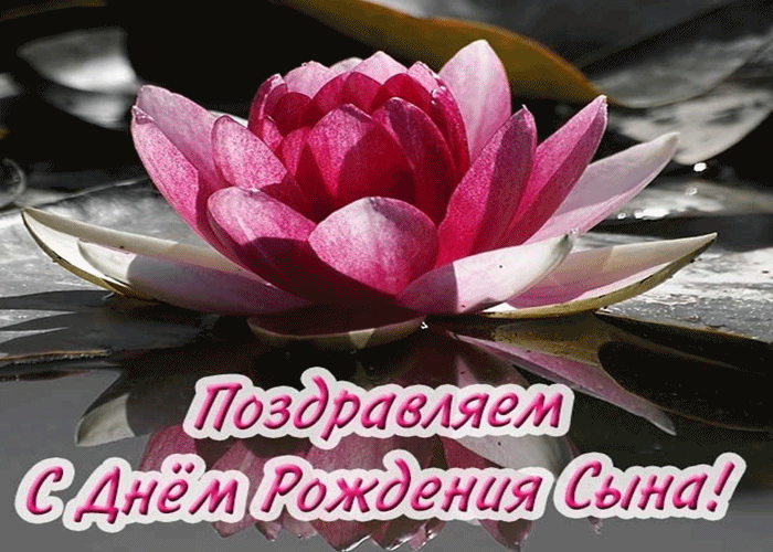 Открытка С рождением сына - Открытка с цветком лотоса: поздравления с Днем Рождения | Красивая открытка #69