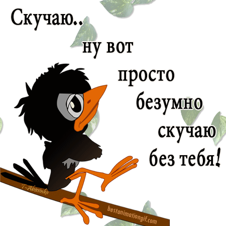 Открытка Открытки скучаю по тебе - Открытка с черным вороном на ветке | Красивая открытка #11