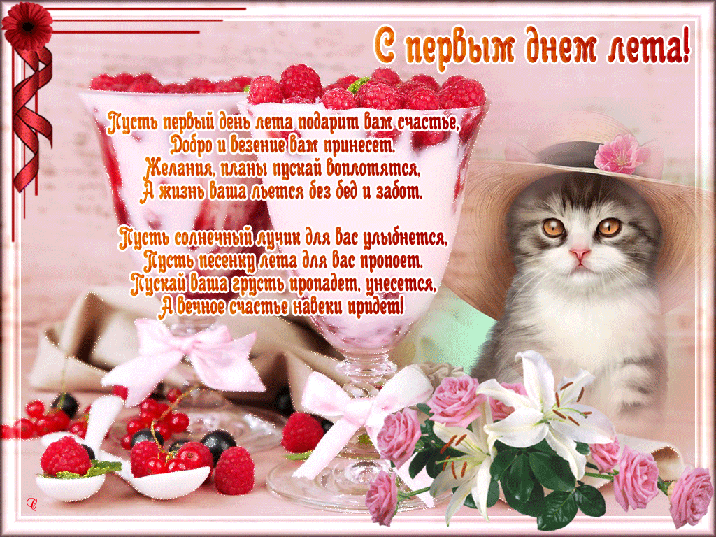 Открытка Первый день лета - Открытка с котиком и цветами | Красивая открытка #86