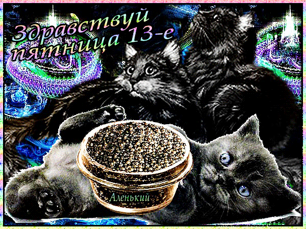 Открытка Открытки на пятницу 13 - Открытка с котятами и икрой | Красивая открытка #169