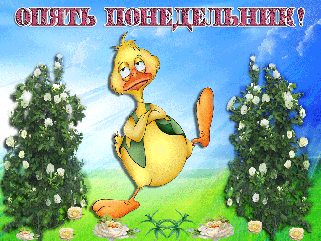Открытка Открытки на понедельник - Открытка с удивлённым цыплёнком на фоне цветов | Красивая открытка #3
