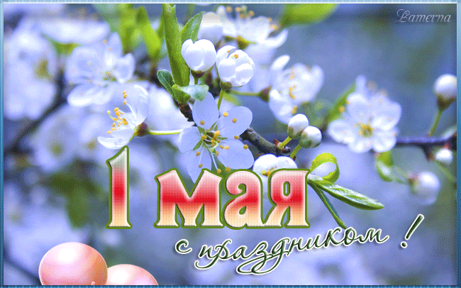 Открытка 1 мая - Открытка с цветами: 1 мая с нежным поздравлением | Красивая открытка #60