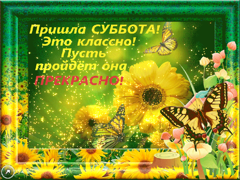 Открытка Открытки на субботу - Открытка с цветами и бабочкой | Красивая открытка #20